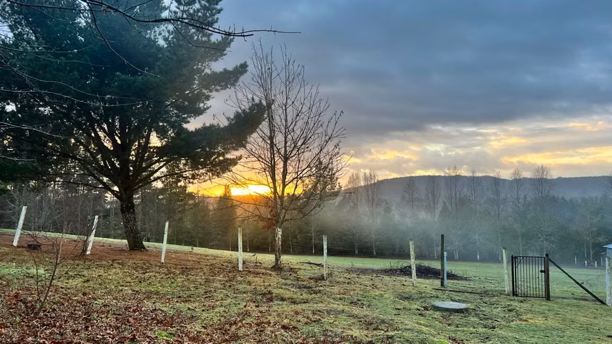 Parcela 1 ha con 2 casas, quincho, sauna y tinaja – El Liuco, Gorbea