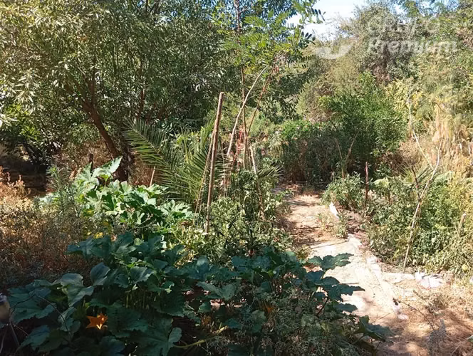 Parcela en venta en Curacaví - Imagen 10