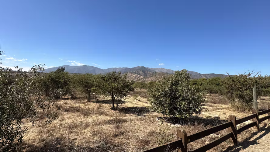 VENTA PARCELA PLANA Y CENTRAL EN LIMACHE, LLIU LLIU CON AGUA - Imagen 13
