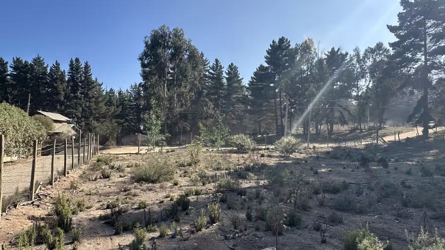 TERRENO OPORTUNIDAD LOS PINOS DE REÑACA CALLE LLANQUIHUE