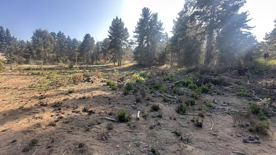 TERRENO OPORTUNIDAD LOS PINOS DE REÑACA CALLE LLANQUIHUE