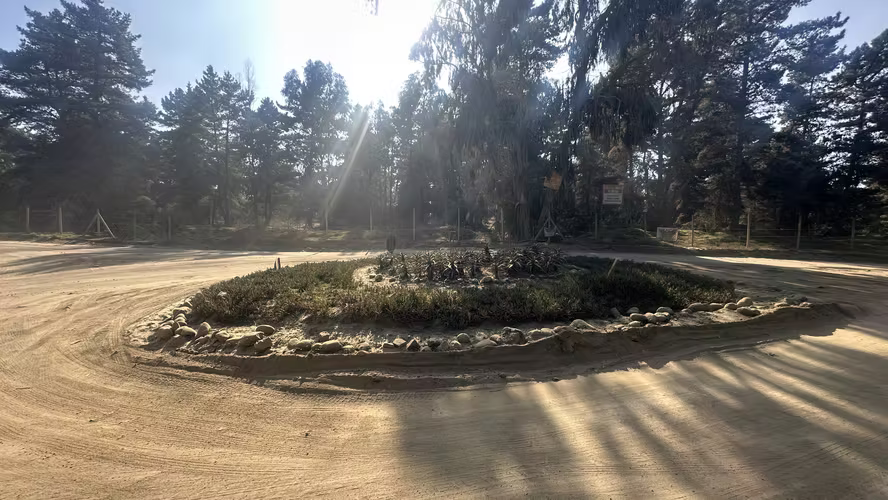 TERRENO OPORTUNIDAD LOS PINOS DE REÑACA CALLE LLANQUIHUE