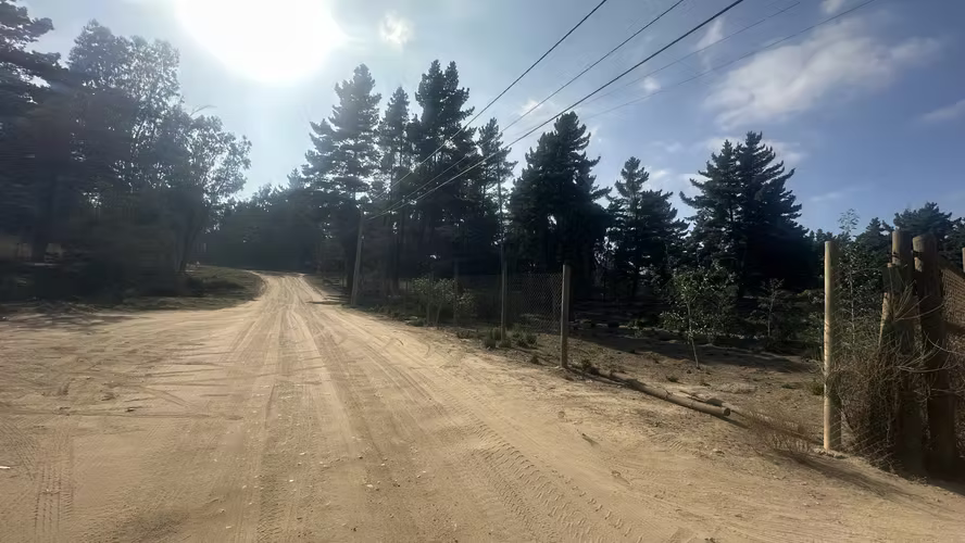TERRENO OPORTUNIDAD LOS PINOS DE REÑACA CALLE LLANQUIHUE