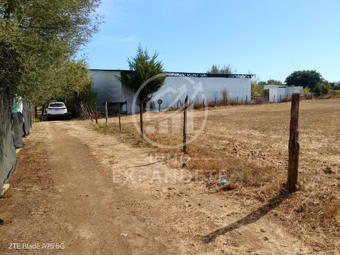 TERRENO 5000 M2 EN SAN CARLOS SECTOR LOS MAGNOLIOS - Imagen 11