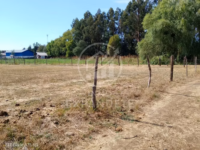 TERRENO 5000 M2 EN SAN CARLOS SECTOR LOS MAGNOLIOS - Imagen 13