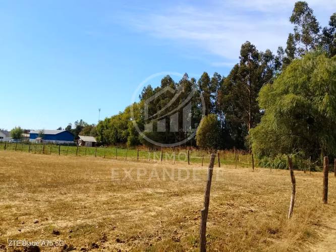 TERRENO 5000 M2 EN SAN CARLOS SECTOR LOS MAGNOLIOS - Imagen 5