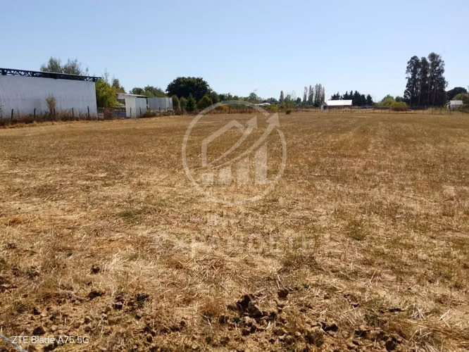 TERRENO 5000 M2 EN SAN CARLOS SECTOR LOS MAGNOLIOS - Imagen 6