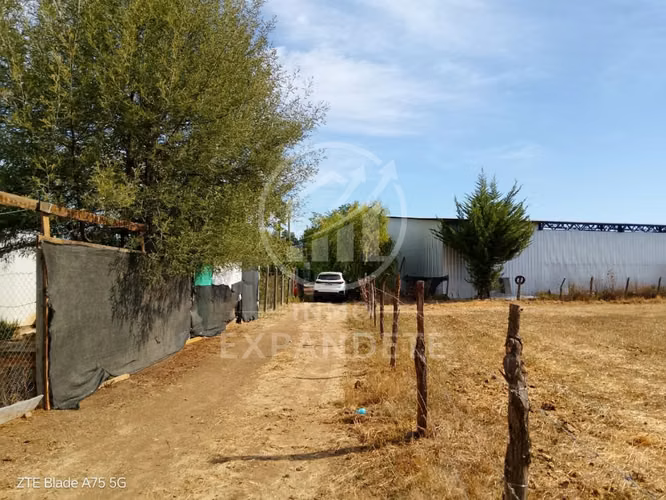 TERRENO 5000 M2 EN SAN CARLOS SECTOR LOS MAGNOLIOS - Imagen 8