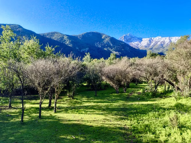 ESPECTACULAR PARCELA DE 5000 M2 EN GRANIZO OLMUE - Imagen 1