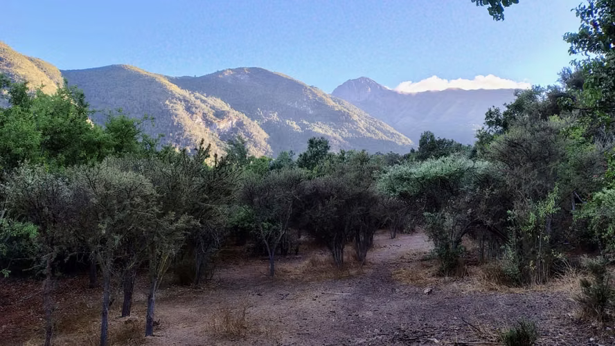 ESPECTACULAR PARCELA DE 5000 M2 EN GRANIZO OLMUE - Imagen 4