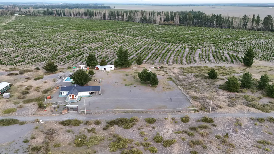 Parcela en Yungay campanario (184627) - Imagen 14