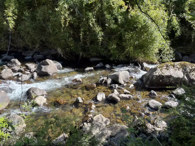 VENTA DE PARCELAS DE ENSUEÑO – ORILLA DE RÍO - Imagen 12