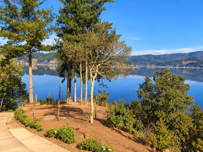 Parcelas Urbanas de 5000m² Subdivisibles en Lago Vichuquén - Imagen 4
