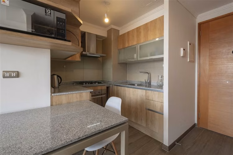 DEPARTAMENTO LYON / LAS VIOLETAS