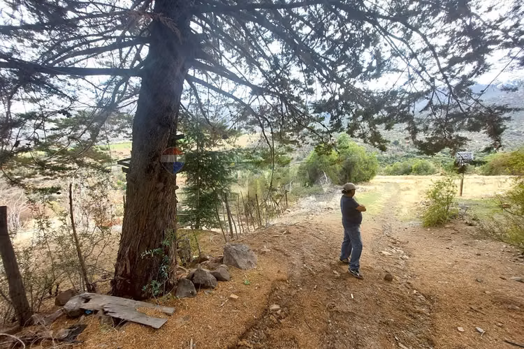 Terreno en san esteban: naturaleza y tranquilidad