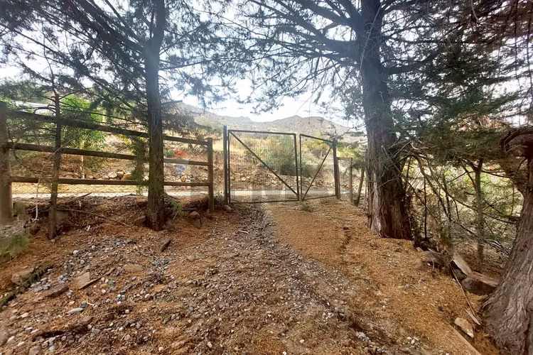 Terreno en san esteban: naturaleza y tranquilidad
