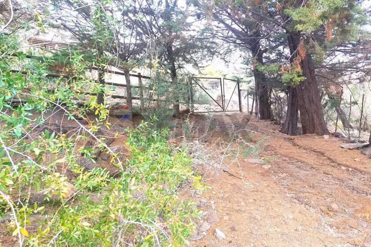 Terreno en san esteban: naturaleza y tranquilidad