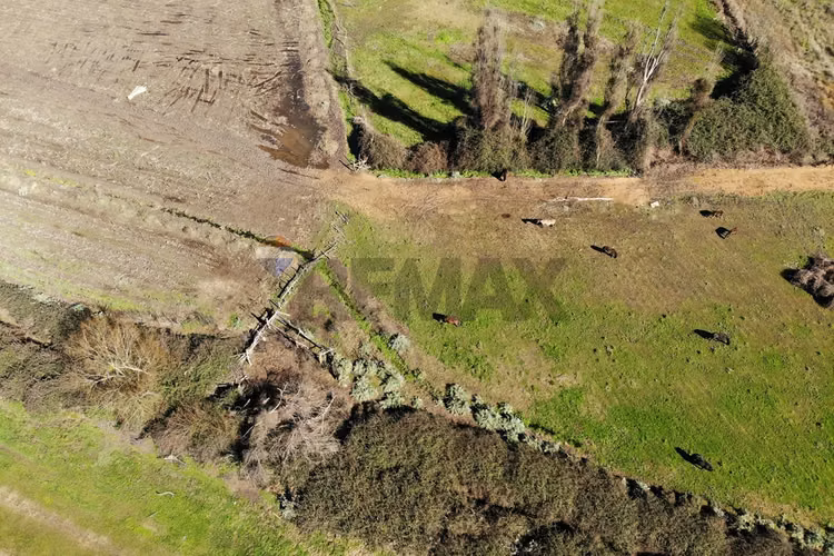 Venta parcela agricola 9,7 ha culipran melipilla