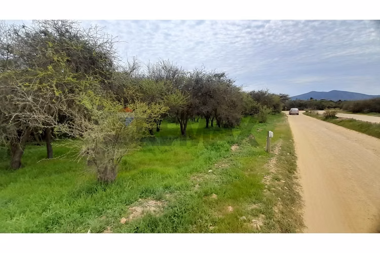 La mejor parcela de la foresta, zapallar - Imagen 3