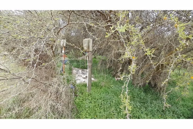 La mejor parcela de la foresta, zapallar - Imagen 7