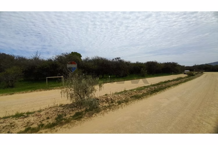 La mejor parcela de la foresta, zapallar - Imagen 4