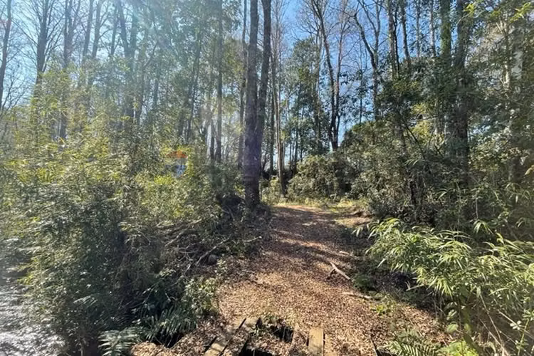 Venta parcela pucon villarrica - Imagen 15