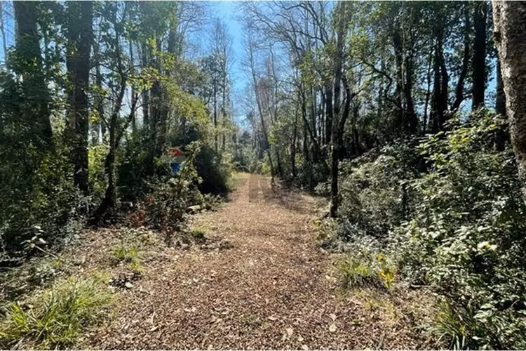 Venta parcela pucon villarrica - Imagen 13