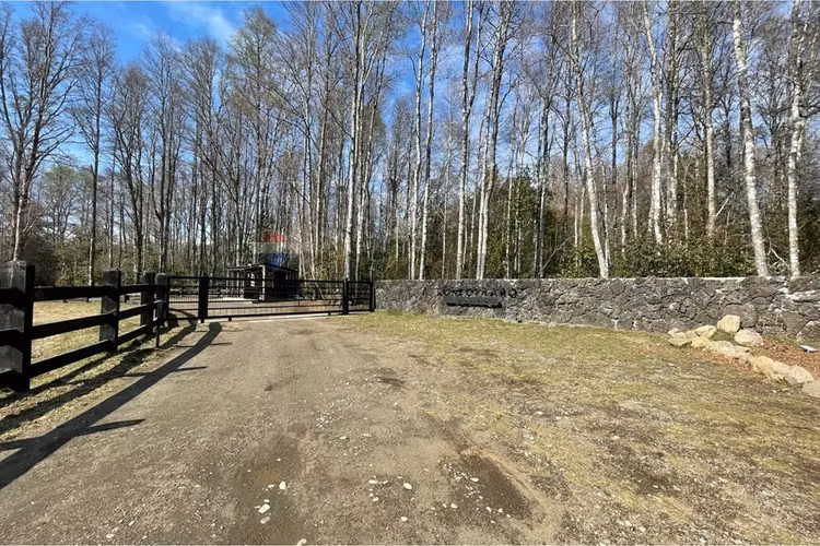 Venta parcela pucon villarrica - Imagen 6