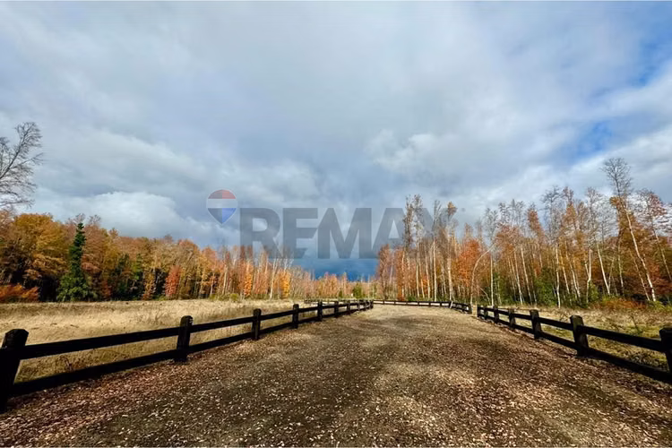 Venta parcela pucon villarrica - Imagen 23