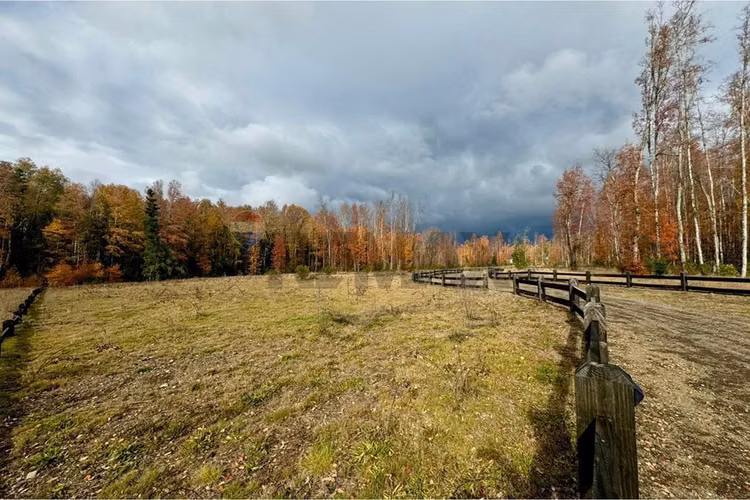 Venta parcela pucon villarrica - Imagen 24
