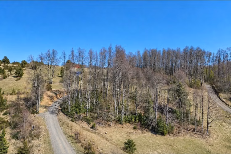 Venta parcela vista al lago- pucon - Imagen 8