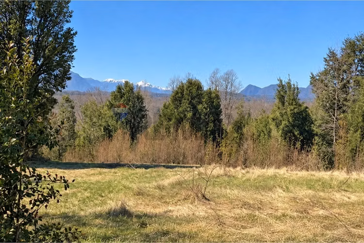 Venta parcela vista al lago- pucon - Imagen 7
