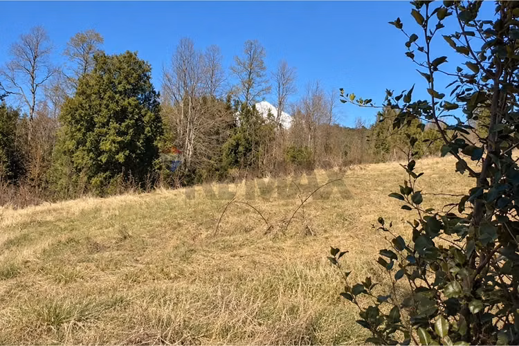 Venta parcela vista al lago- pucon - Imagen 12