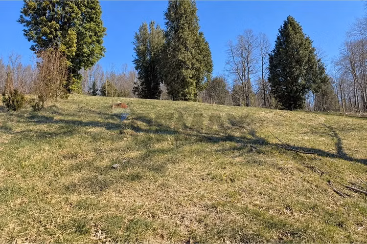 Venta parcela vista al lago- pucon - Imagen 19