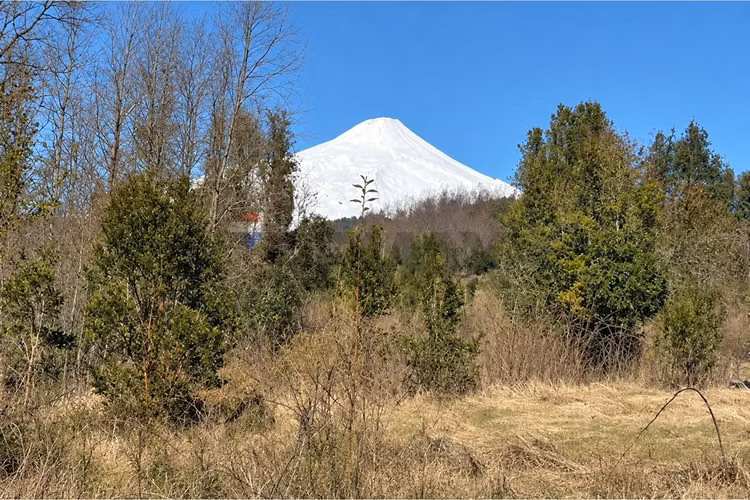 Venta parcela vista al lago- pucon - Imagen 14