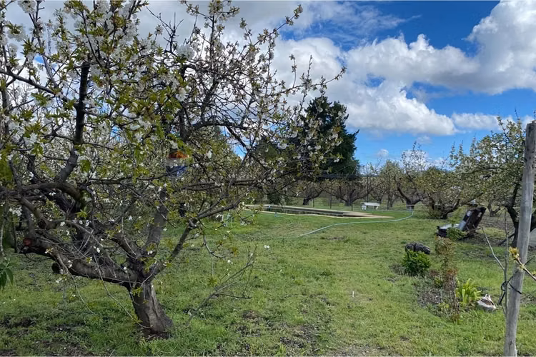 Tu refugio ideal en quillón, ñuble: casa de 3d/2b - Imagen 4