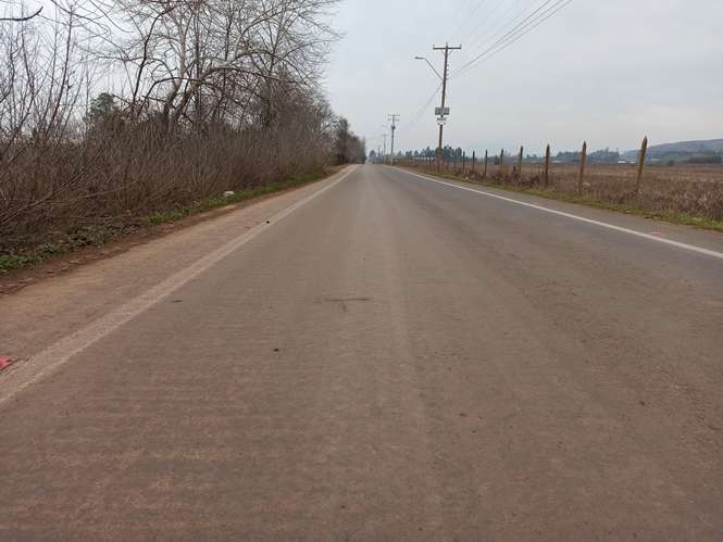 CAMPO, AGRÍCOLA EN VENTA, 21 HA, SAN CLEMENTE - Imagen 13