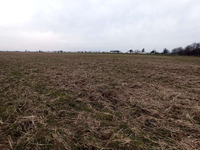 CAMPO, AGRÍCOLA EN VENTA, 21 HA, SAN CLEMENTE - Imagen 12