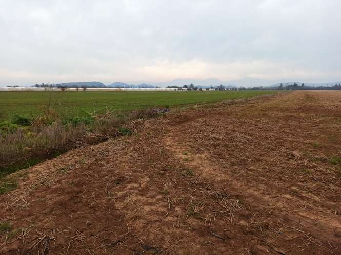 CAMPO, AGRÍCOLA EN VENTA, 21 HA, SAN CLEMENTE - Imagen 11