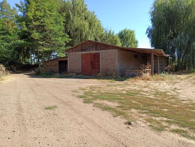 TERRENO AGRÍCOLA EN VENTA, CAMPO DE 60 HA, TENO