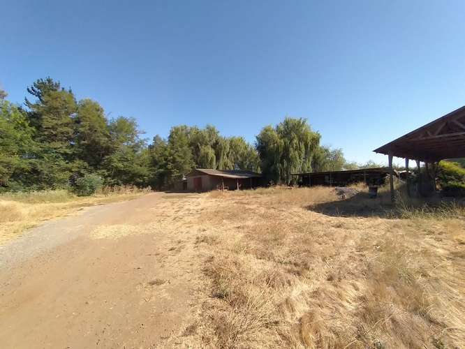 TERRENO AGRÍCOLA EN VENTA, CAMPO DE 60 HA, TENO
