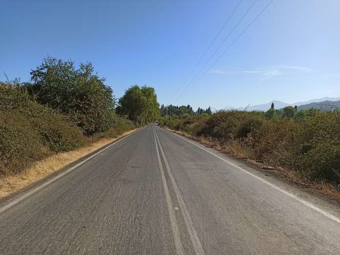 TERRENO AGRÍCOLA EN VENTA, CAMPO DE 60 HA, TENO