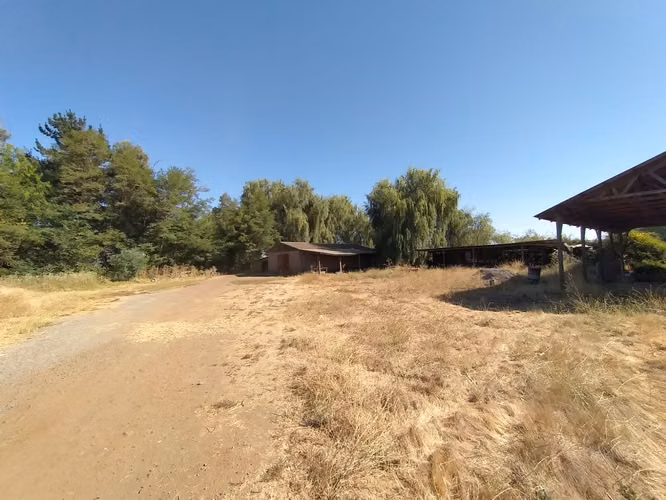 PROPIEDAD AGRÍCOLA EN VENTA, CAMPO DE 60 HA, TENO