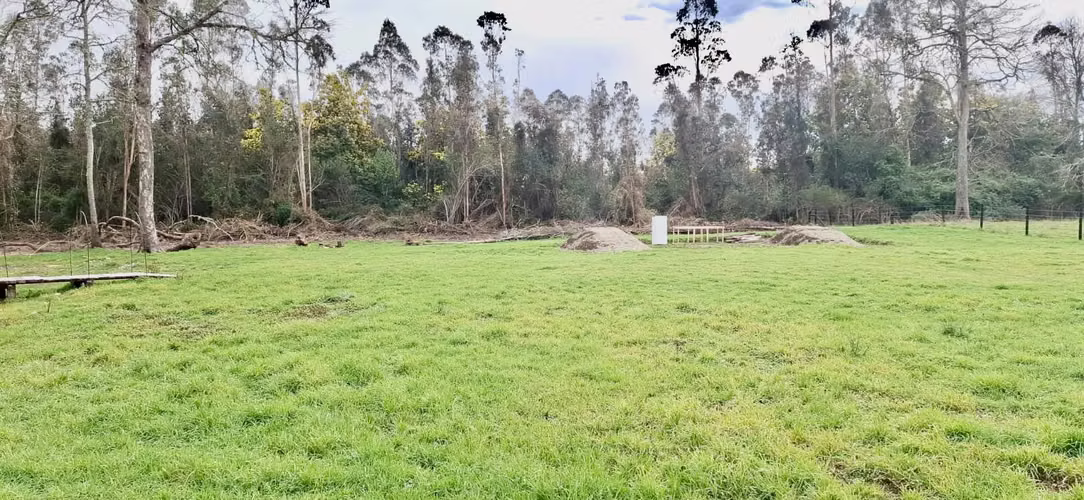 PARCELA DE 5000 M2 EN FOLILCO LOS LAGOS - Imagen 3