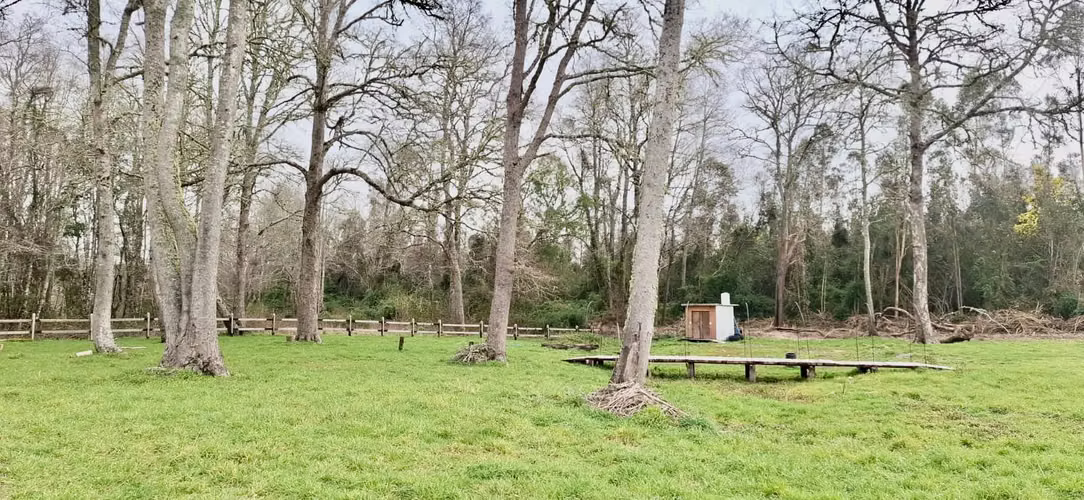 PARCELA DE 5000 M2 EN FOLILCO LOS LAGOS - Imagen 16