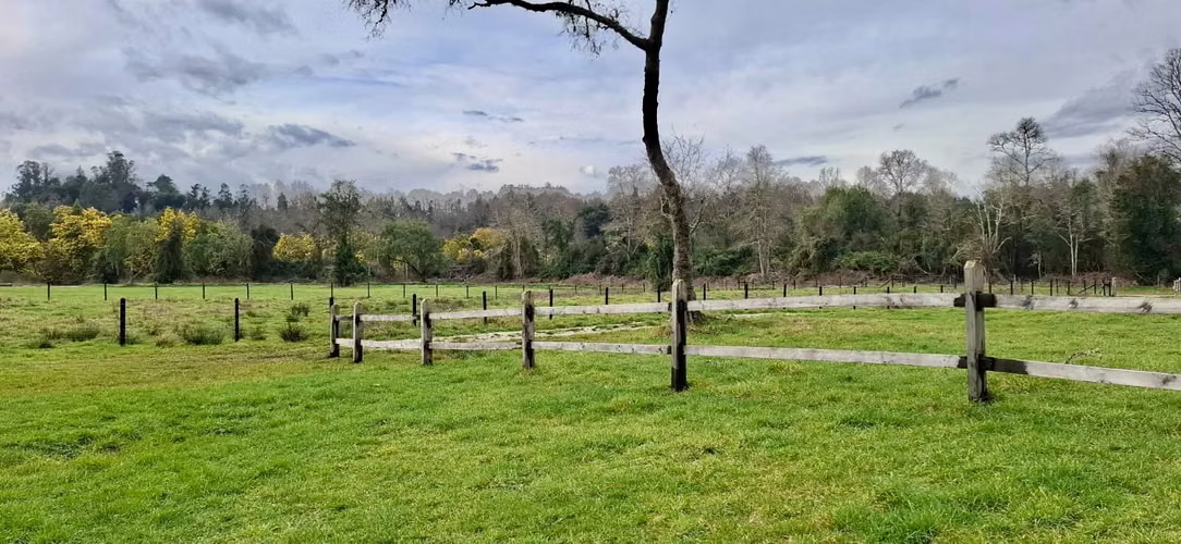 PARCELA DE 5000 M2 EN FOLILCO LOS LAGOS - Imagen 4