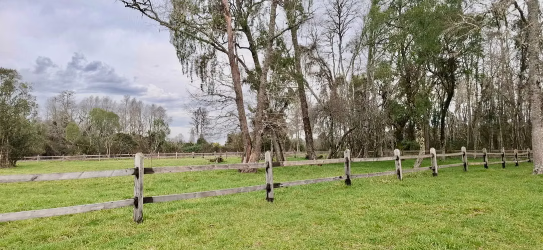 PARCELA DE 5000 M2 EN FOLILCO LOS LAGOS - Imagen 7