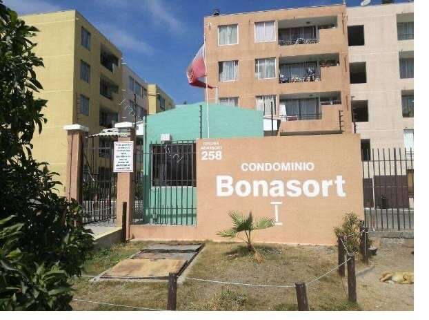 Oportunidad 1D1B Bonasort 1