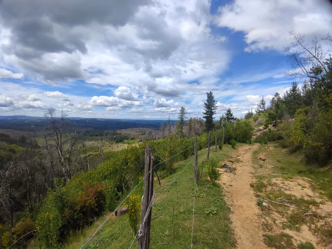 Parcelas venta  5000m2 , Talcamavida -  Hualqui, Crédito directo