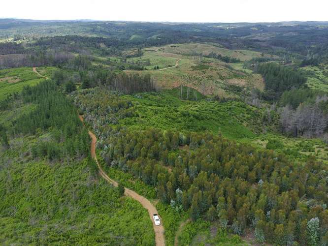 Parcelas venta  5000m2 , Talcamavida -  Hualqui, Crédito directo